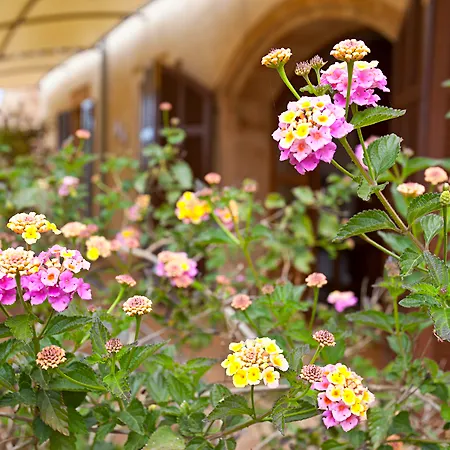 Na Martina Alloggio per agriturismo Santanyí