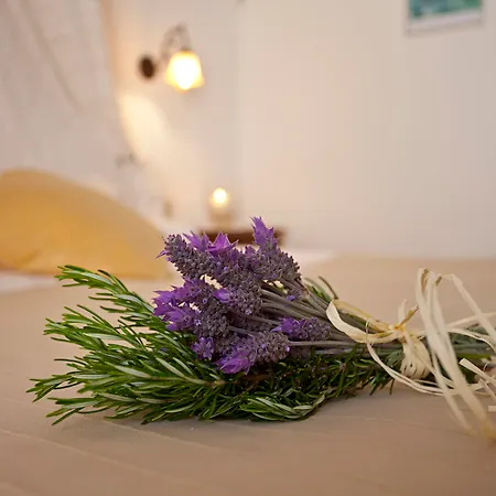 Alloggio per agriturismo Na Martina Santanyí
