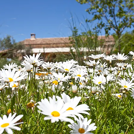 Alloggio per agriturismo Na Martina