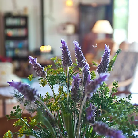 Na Martina Alloggio per agriturismo Santanyí